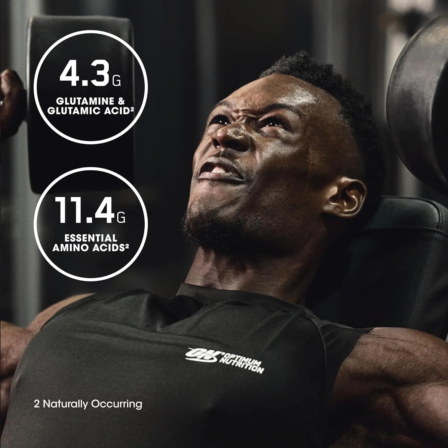 Optimum Nutrition Gold Standard 100% Isolate Protein Powder - Chocolate Bliss Flavor, 3 lbs of Pure Whey Protein with 44 Servings for Optimal Fitness
