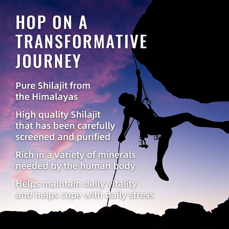 Revitalize Your Wellness with BSYS Shilajit Gummies - 60 Delicious Gummies for Health & Vitality!