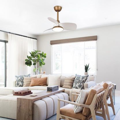 Elevate Your Space with the Parrot Uncle 28-Inch Modern Ceiling Fan - DC Motor, LED Lighting & Remote Control