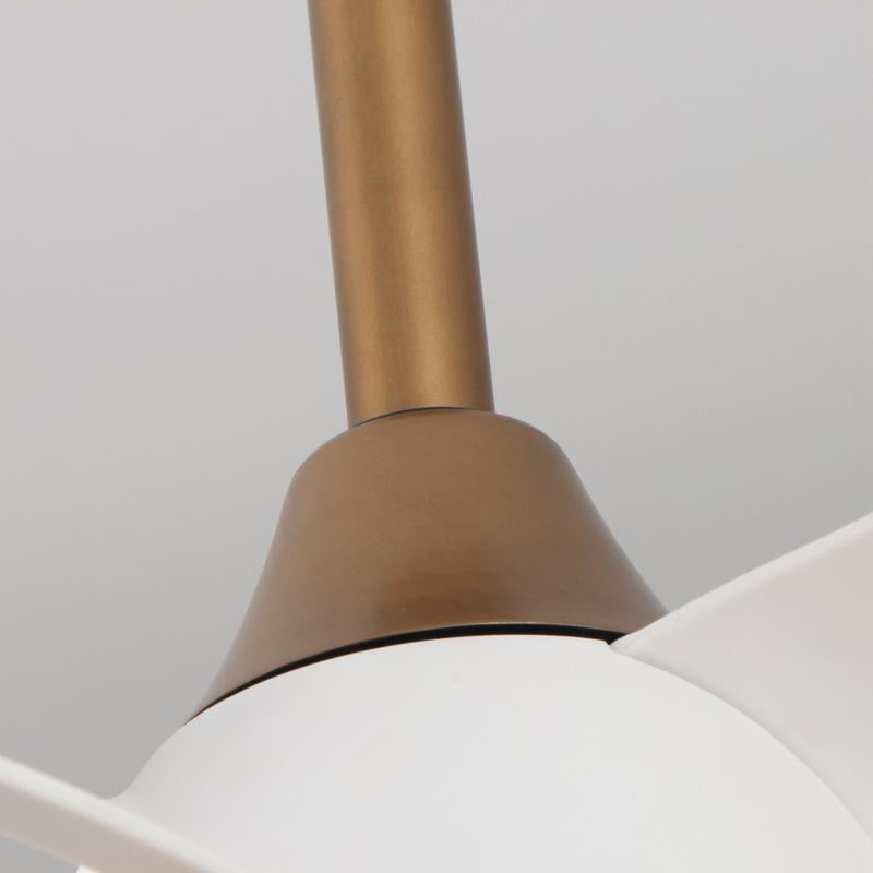 Elevate Your Space with the Parrot Uncle 28-Inch Modern Ceiling Fan - DC Motor, LED Lighting & Remote Control